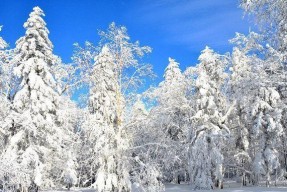 探秘鬼泣巅峰之战雪原场景（揭秘游戏中的壮丽冰雪世界）