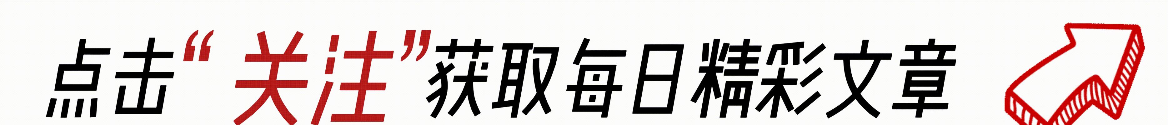 《我的侠客》游戏中如何获得宠物包子的攻略（掌握关键线索）  第1张